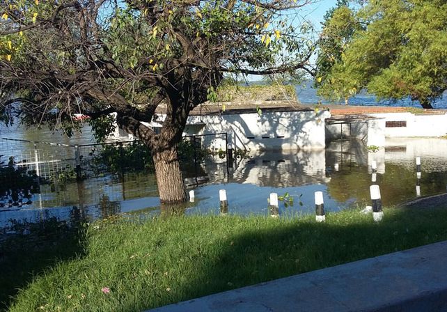 El fenómeno de El Niño podría tener un segundo pico a fines de otoño