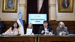 La iniciativa obtuvo dictamen de un plenario de comisiones, por voto unánime de oficialismo y oposición.