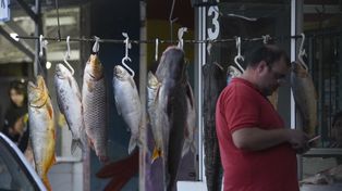 La región Litoral es una de las pocas del país que exporta pescado de río.