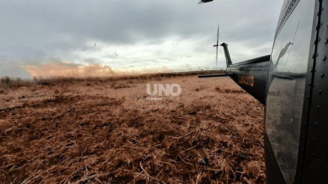 Proponen declarar al delta del Paraná zona de desastre natural por los incendios