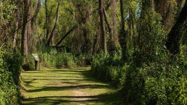Jornada político-académica por el Día del Ambiente
