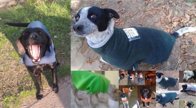 La confección de abrigo ya comenzó y vos podés colaborar.