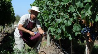 En 2023 Argentina se ubicaría octavo en la producción mundial con 8,8 mhl, contra los 11,5 mhl del año pasado.