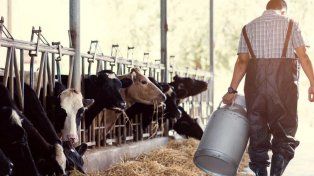 La lechería santafesina enfrenta el desafío de sostener a los pequeños productores