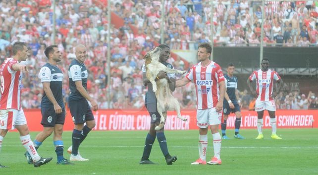 A ese perro lo estaban adiestrando en el primer tiempo
