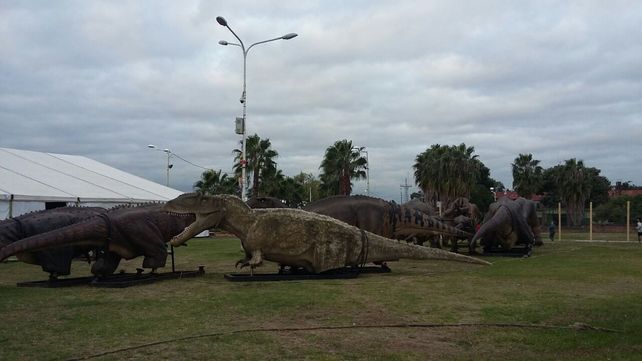 Foto&nbsp;UNO&nbsp;Juan Manuel Hernández.&nbsp;