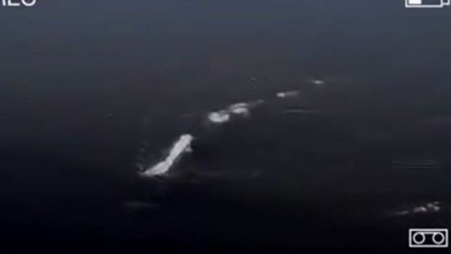 ¿Encontraron un monstruo como el del lago Ness?