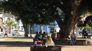 Plaza España: usuarios y vecinos exigen obras en el espacio y su entorno