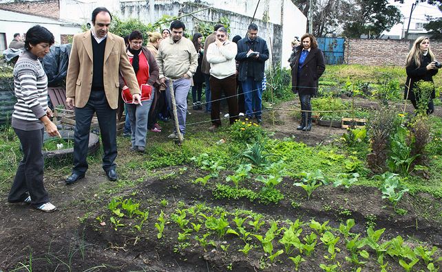 La huerta urbana del Solar de Juventud del Norte ya comercializa su producción
