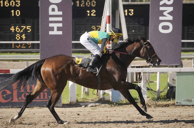 Fácil. Foto Graciosa demostró que la arena es el reducto que mejor le sienta. Hipódromo de Palermo