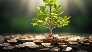 Bonos verdes: oportunidades y desafíos de financiamiento ante un panorama restrictivo
