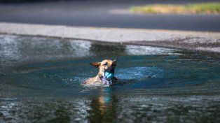 El tiempo en Rosario: lunes con más calor en una semana camino al récord