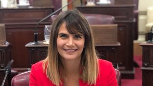 La iniciativa de la diputada Granata fue blanco de objeciones.