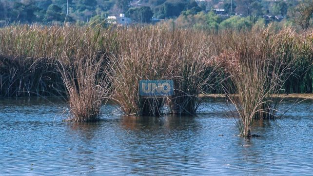 Paraná incorporó los Humedales del Oeste al ecoturismo&nbsp;