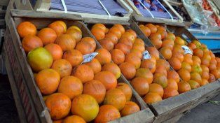El municipio refuerza la alimentación de merenderos con frutas de estación