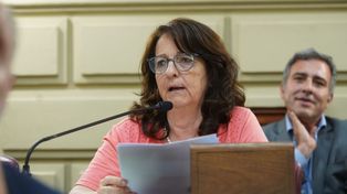 La diputada del Frente Renovador 100% Santafesino, Verónica Baró Graf.&nbsp;