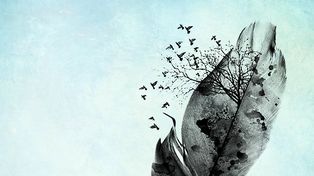 Los clásicos de la literatura de la ciudad