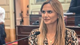 La oposición repudió el ataque mientras que la diputada Amalia Granata lo calificó de pantomima
