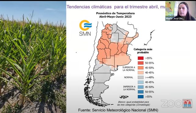 Trigo: sintonía fina para arrancar la nueva siembra