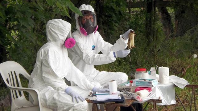 El brote de hantavirus llegó a España y Reino Unido
