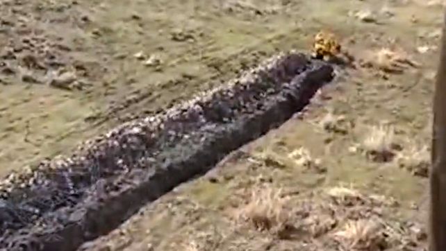 El ministro Cabandié denunció la realización de otro terraplén ilegal en la zona de islas del Delta del Paraná. (Foto: captura de video)