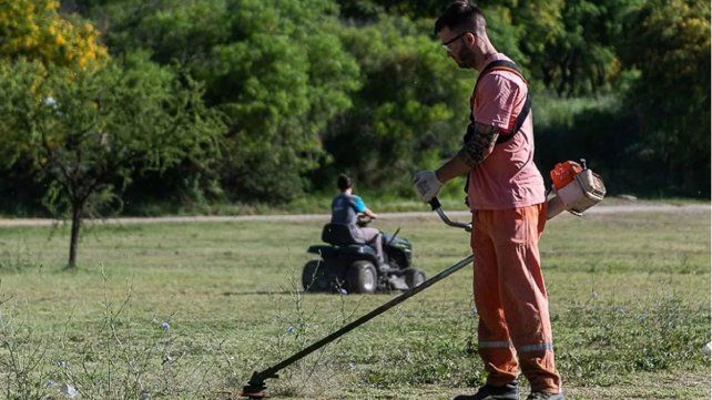 Diplomatura en Ejecución y Mantenimiento de Espacios Verdes