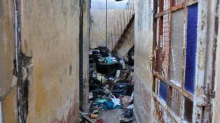 Rosario. Tras reclamos de vecinos, se montó un operativo de limpieza en una vivienda de Roca y Ocampo