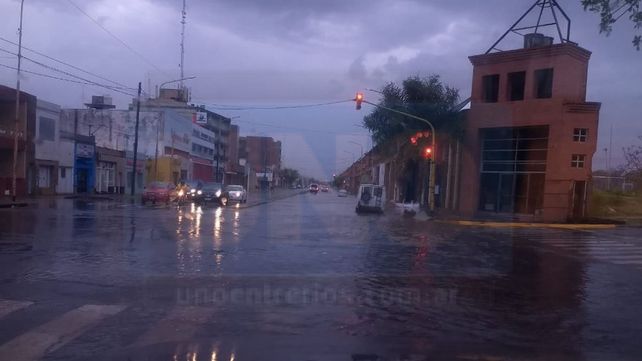 Paraná: árboles caídos y viviendas anegadas por el temporal