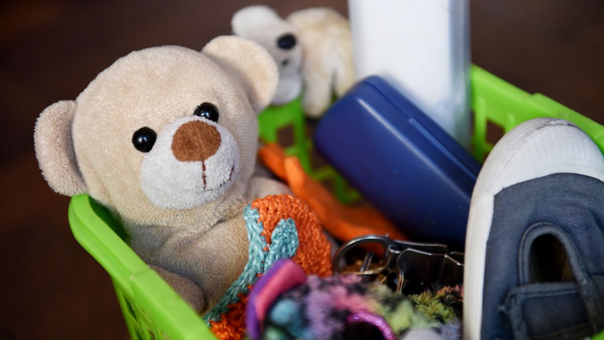 Miles de rosarinos se organizan en redes virtuales para ubicar objetos ...