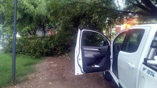Paraná: familias asistidas y árboles caídos por la tormenta