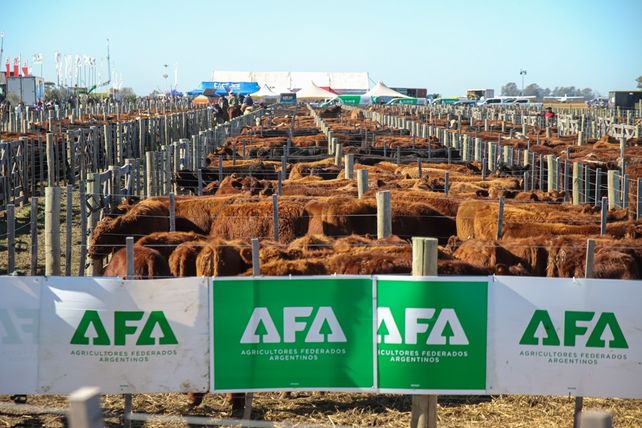 Agroactiva Ganadera será el espacio pecuario más importante del calendario agroindustrial argentino.&nbsp;