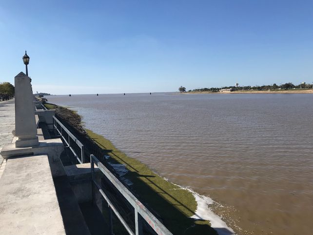 El río llegó al nivel más bajo en un año: guarderías náuticas quedaron fuera de servicio