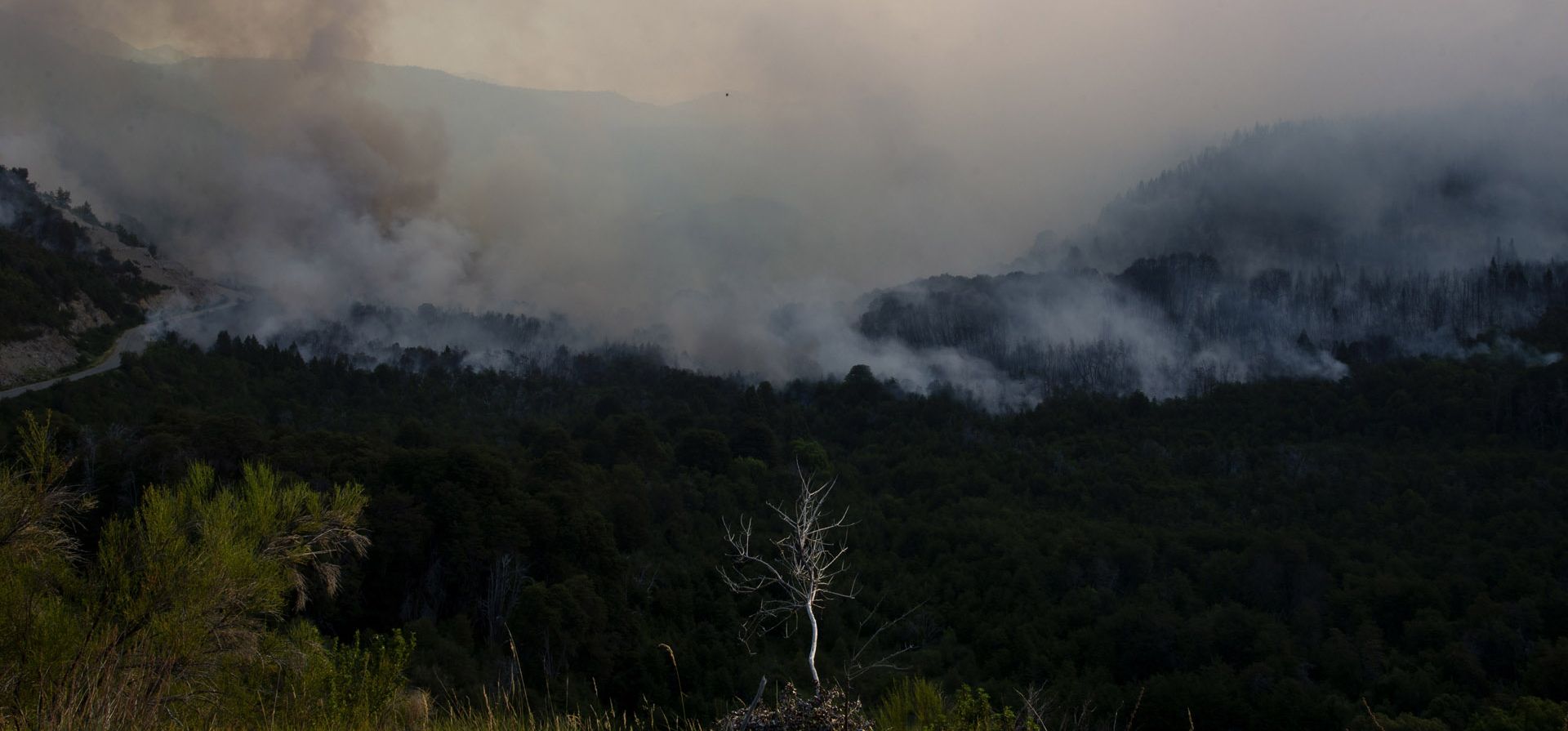 Los primeros focos surgieron el 7 de diciembre pasado en un valle próximo al lago Martín, tras una tormenta eléctrica que cayó en esa zona. Con el paso de los días, el fuego avanzó con todo y ya afectó unas 5.400 hectáreas, según los datos oficiales.