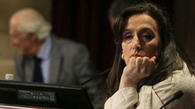 Michetti dijo que siente angustia y mucha tristeza por la desaparición de Maldonado