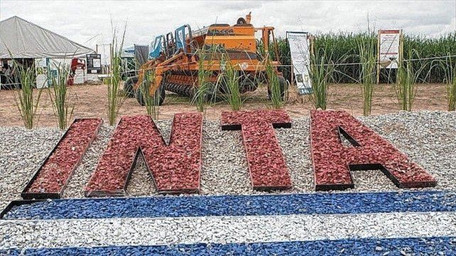 intajpg