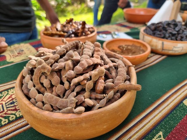 Cafés artesanales elaborados con tusca, higo y algarroba.