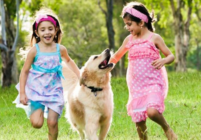 Los chicos que viven con perros en sus casas tienen menos posibilidades de padecer asma