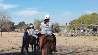 Roban cinco caballos y todas las herramientas de un centro de equinoterapia