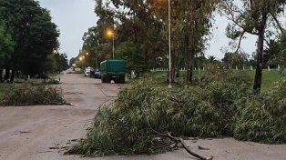 Cerrito: el temporal de viento y lluvia provocó grandes inconvenientes