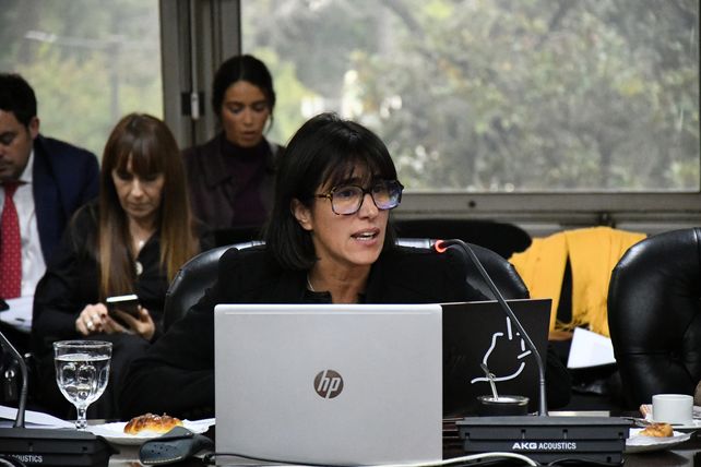 Jimena de la Torre instó al Consejo de la Magistratura a trabajar con el objetivo de mejorar el proceso de selección” de jueces.