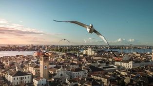Drone Awards 2020: las mejores fotos aéreas durante la pandemia