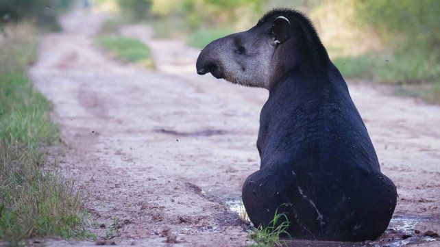 El Parque Nacional El Impenetrable