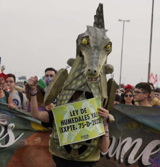 El fuerte reclamo por el humedal y por el cese de las quemas, en imágenes
