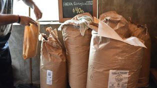 Ya se comercializa la harina ecológica santafesina