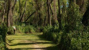 El Museo Serrano invita a conocer los ambientes naturales de Entre Ríos