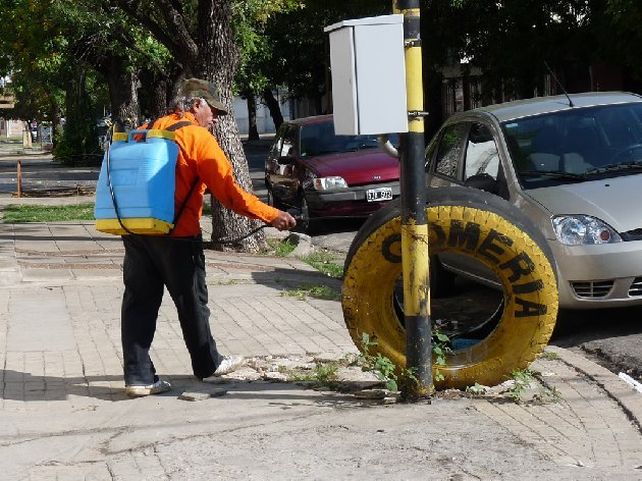 Cronograma de fumigaciones en la ciudad para esta semana
