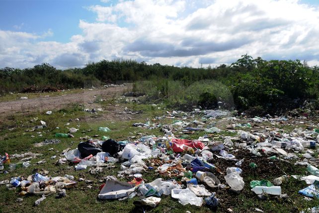 Abundante. Los vecinos aseguran que en el basural del acceso a Playa Norte también hay ratas.