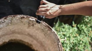 Continúan las acciones para prevenir el dengue en la ciudad
