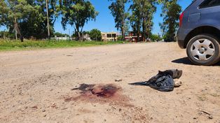 Quintilli fue hallado muerto en Parque Oeste el pasado 18 de febrero.