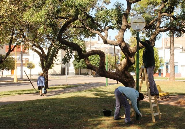 El Municipio trabaja en la puesta en valor de la Plaza 20 de Junio